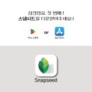 화려하개 이미지