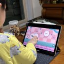 영어(기초) | 유아영어 어플 추천 하이도도 5살 알파벳 영어기초 학습 후기