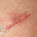 월인한의원 이미지