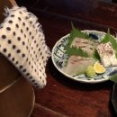 와라야키 쿠이신보 이미지