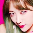 청초바이오 네이버블로그
