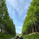 여주-0700 | 블루헤런cc 여주 명문 골프장 라운딩후기