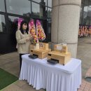 이니스플라워