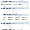 이모네 강아지 이미지