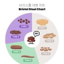 변한의원 | 청아한의원 마포 3개월 한약 복용 후기 / 박탈성구순염으로 고생중..(아직도..)