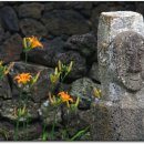 정석목장 이미지