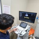 주안동물병원 | 심장내과 전문 인천주안동물병원 으뜸에서 알려주는, 노령견 판막성 심장질환