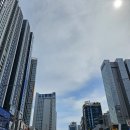 브라더카츠 | 국제영화제 방문기 - 9월 19일 3일차 - 1 (<파더 마더 시스터 브라더> 후기, 해운대 해수욕장, 카페 탐방)