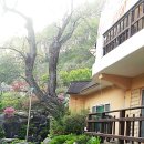 금강초롱황토펜션 이미지