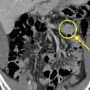 메트로속내과의원 이미지