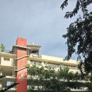 세종 스포츠 스쿨 | 피그맘과 아이들이 함께 다녀온 세부 아테네오 스쿨 자녀.조기유학 후보지 탐방기