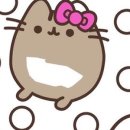 Hello Kitten 이미지