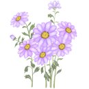 대청 계곡길 이미지