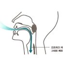 페로치아