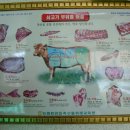 영주축협한우프라자 이미지