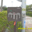 마조리보건진료소 Daum카페