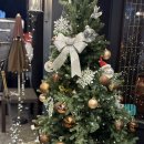 (주) 필자임 | 대전 봉명동 술집 용용선생에서 불대창돌짜장 먹은 후기