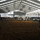 입지목장 이미지