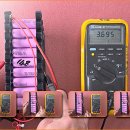 셀라이프 이미지