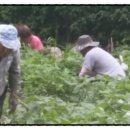 창성농장 이미지