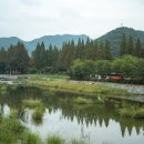 응천공원 이미지