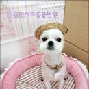 광명시티동물병원 이미지