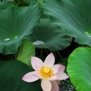 농업기술센터 외부화장실 이미지