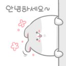 월평로R 이미지