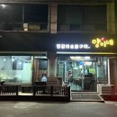 양이네