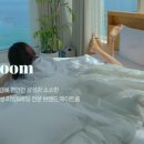 제일이불집