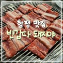 돼지야반갑다 이미지