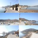 넙도초등학교서리분교장 이미지