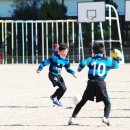 금정초등학교 이미지