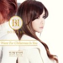 하이포레버 이미지