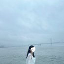 강아지홀릭 | 부산 요트투어 강아지동반 요트홀릭 내돈내산 후기