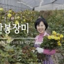 만봉스토어 네이버블로그