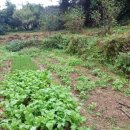 박종철농장 이미지