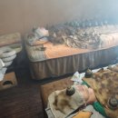 흙이랑별 이미지