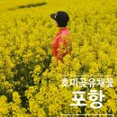 꽃밭에서 | 3월 포항 여행지 추천, 아이와 가볼만한 곳 호미곶 유채꽃밭 후기