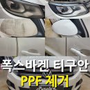 등촌형제자동차공업사 | [서울 등촌] 폭스바겐 티구안 PPF 제거 양천구 강서구