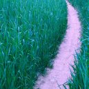 무학세탁소 이미지