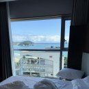 드메르호텔 | 부산 송정 오션뷰 숙소 추천 | 메르드로브 호텔 내돈내산 후기(+자쿠지)