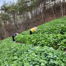 종근농장 이미지