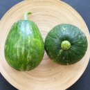 다래농원 이미지