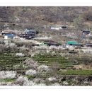 원기마을 이미지