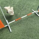 홍천읍생활체육공원 이미지