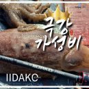 MTC | 선상 갑오징어 쭈꾸미 낚시대 추천 티탄히트 이이다코 552MTC