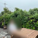 선현재 네이버블로그