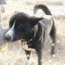 홍교동물병원 이미지