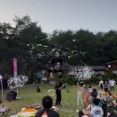 황토와소나무 | 강원도 영월[황토와 통나무 캠핑장] 솔직 후기
